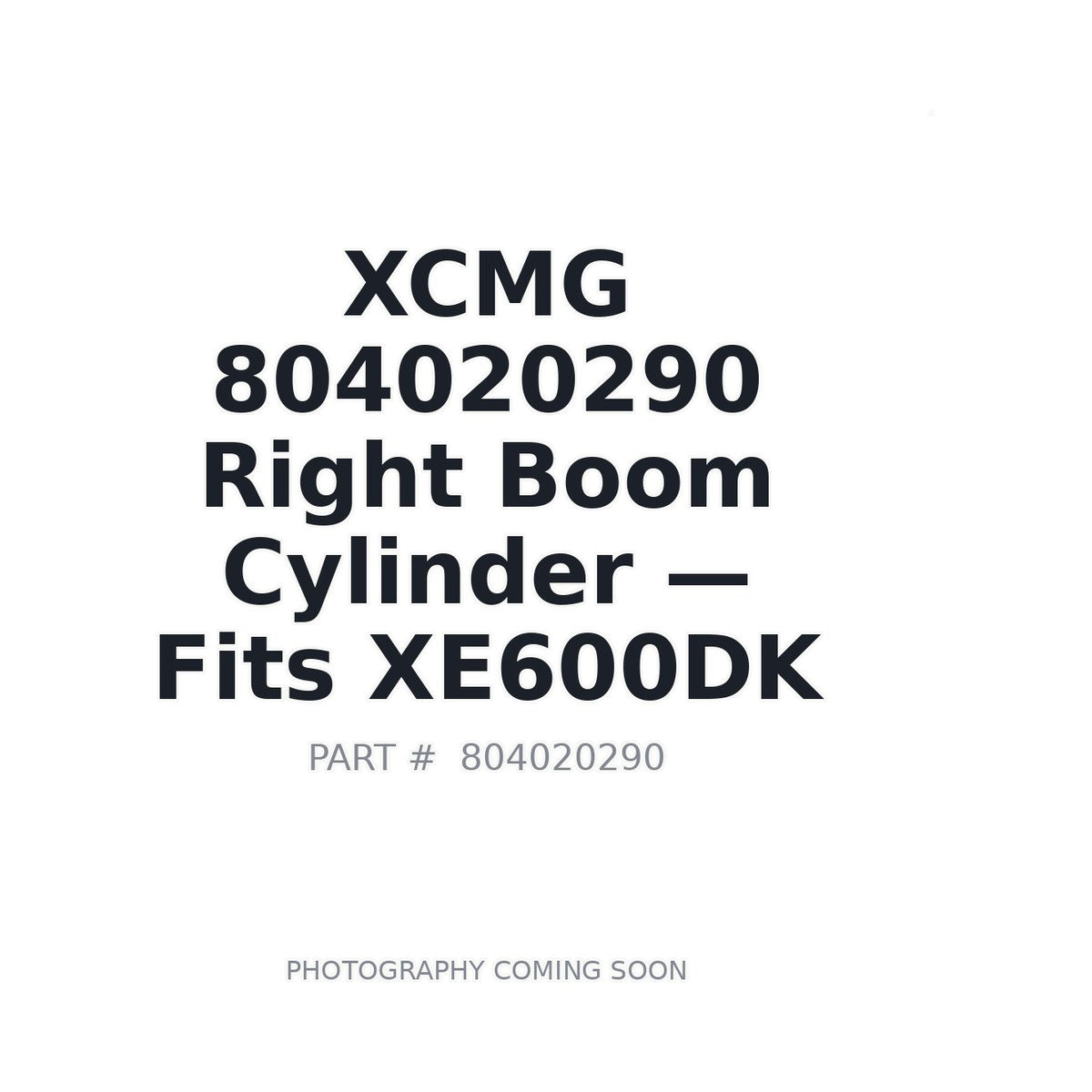 804020290 XCMG Hydraulic Cylinders