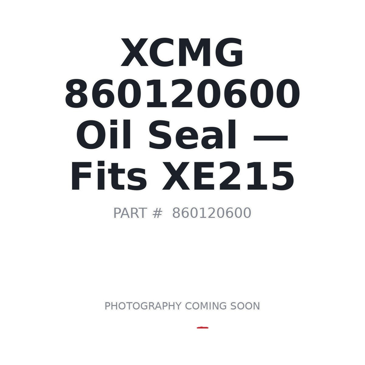 860120600 XCMG Hydraulic Seals