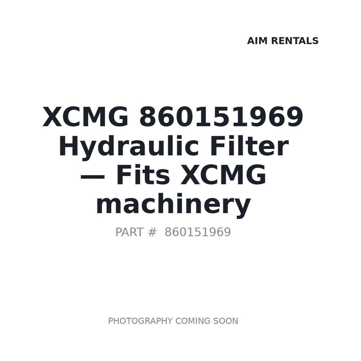 860151969 XCMG Filters