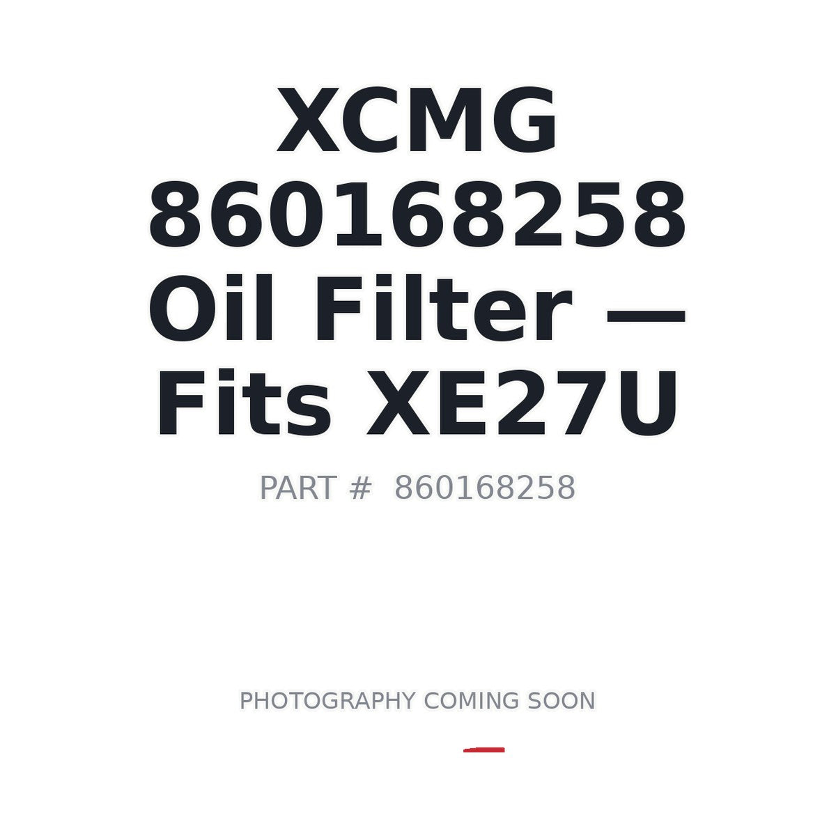 860168258 XCMG Filters