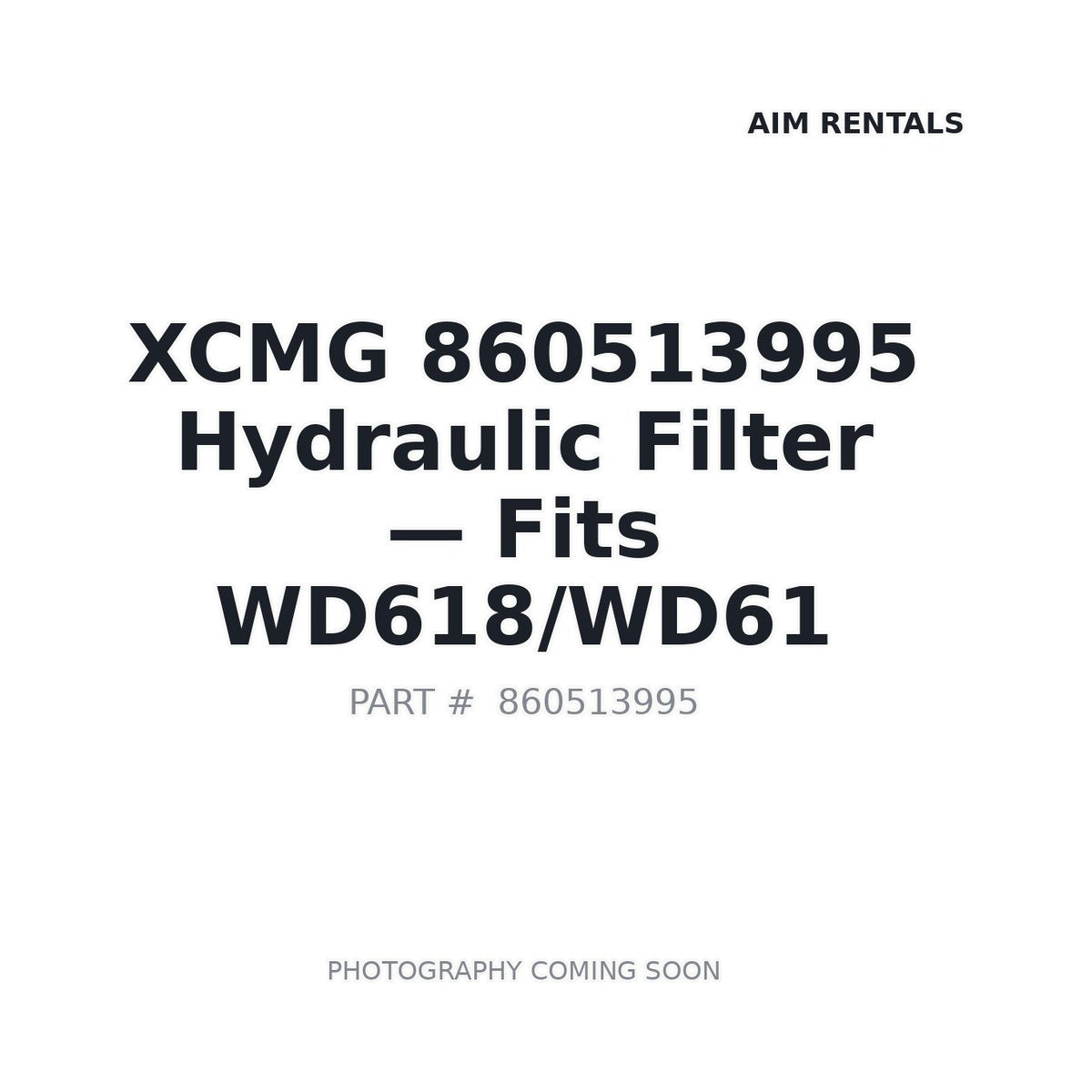 860513995 XCMG Filters