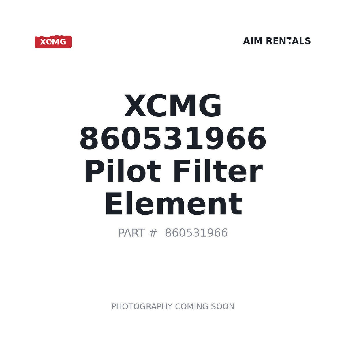 860531966 XCMG Pilot Filter Element