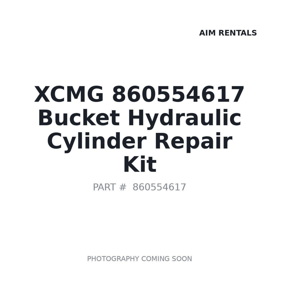 860554617 XCMG Repair Kit