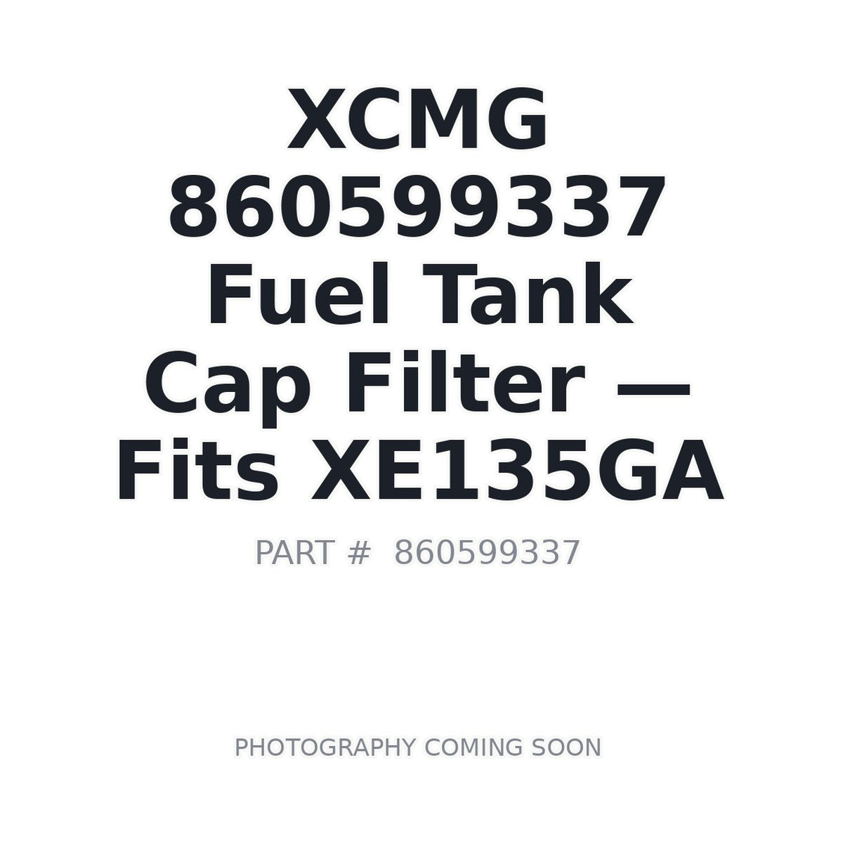 860599337 XCMG Filters