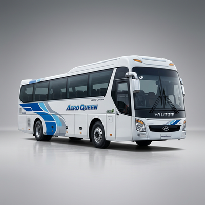 Hyundai Aero Queen Parts