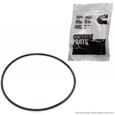 Cummins 3969698 P7100 Pump Timing Case O-Ring Seal front product photo | stocked in BC, ships Canada-wide