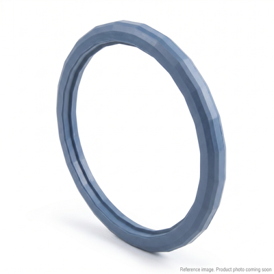 Cummins 4995185 D Ring Seal front product photo | stocked in BC, ships Canada-wide