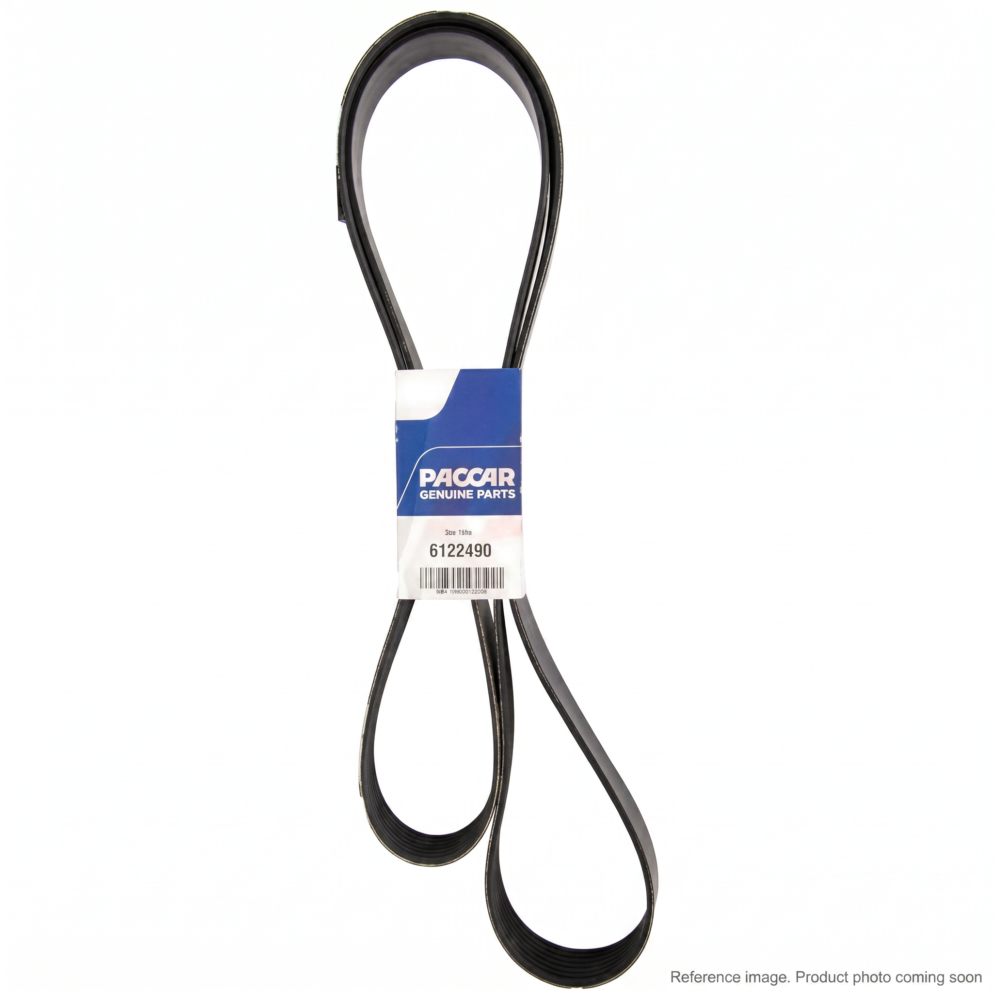 Dynacraft D84-1000-6122310 Belts alternate angle product photo | stocked in BC, ships Canada-wide