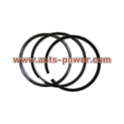 4089644 Cummins Engine Seals