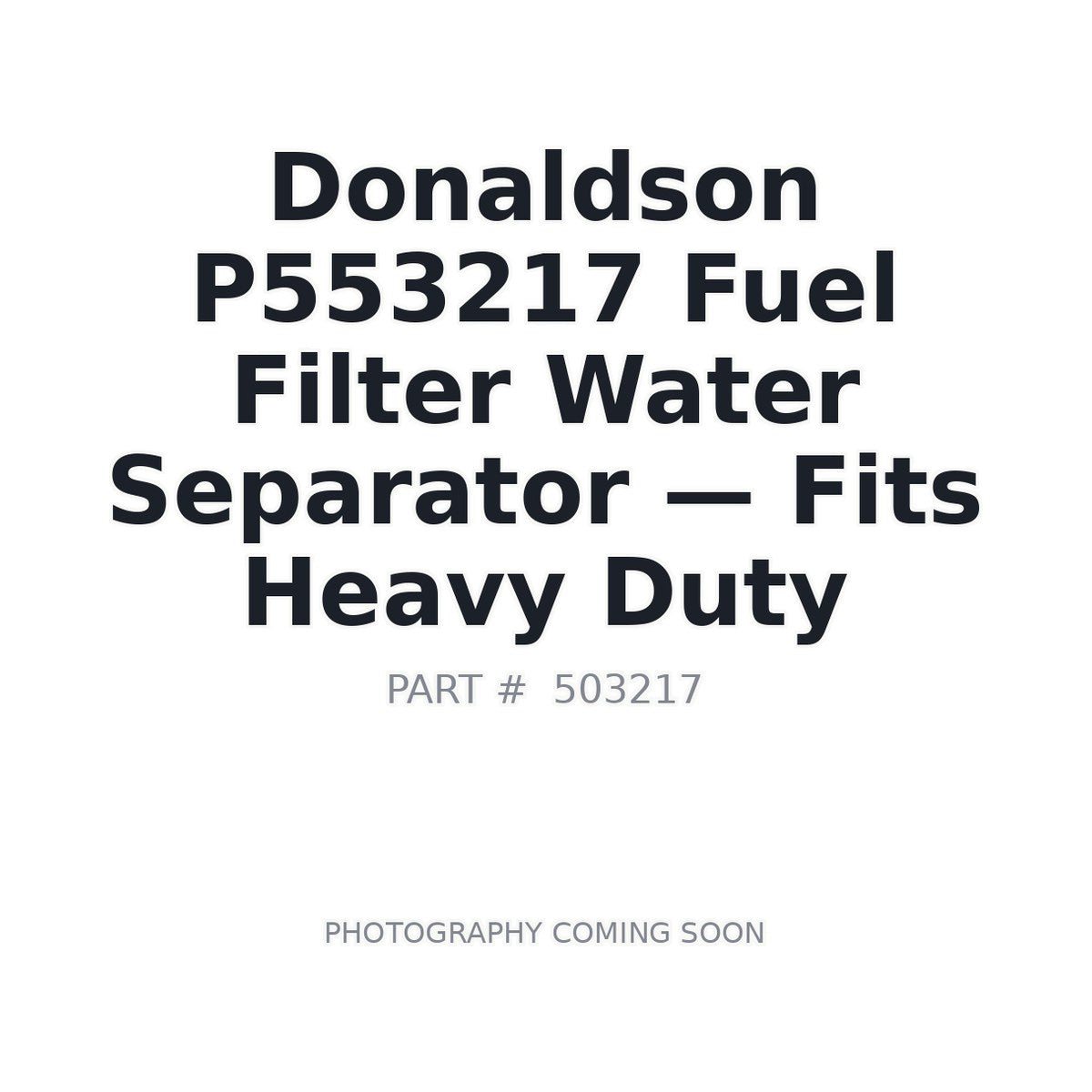 P553217 Donaldson Air filter element