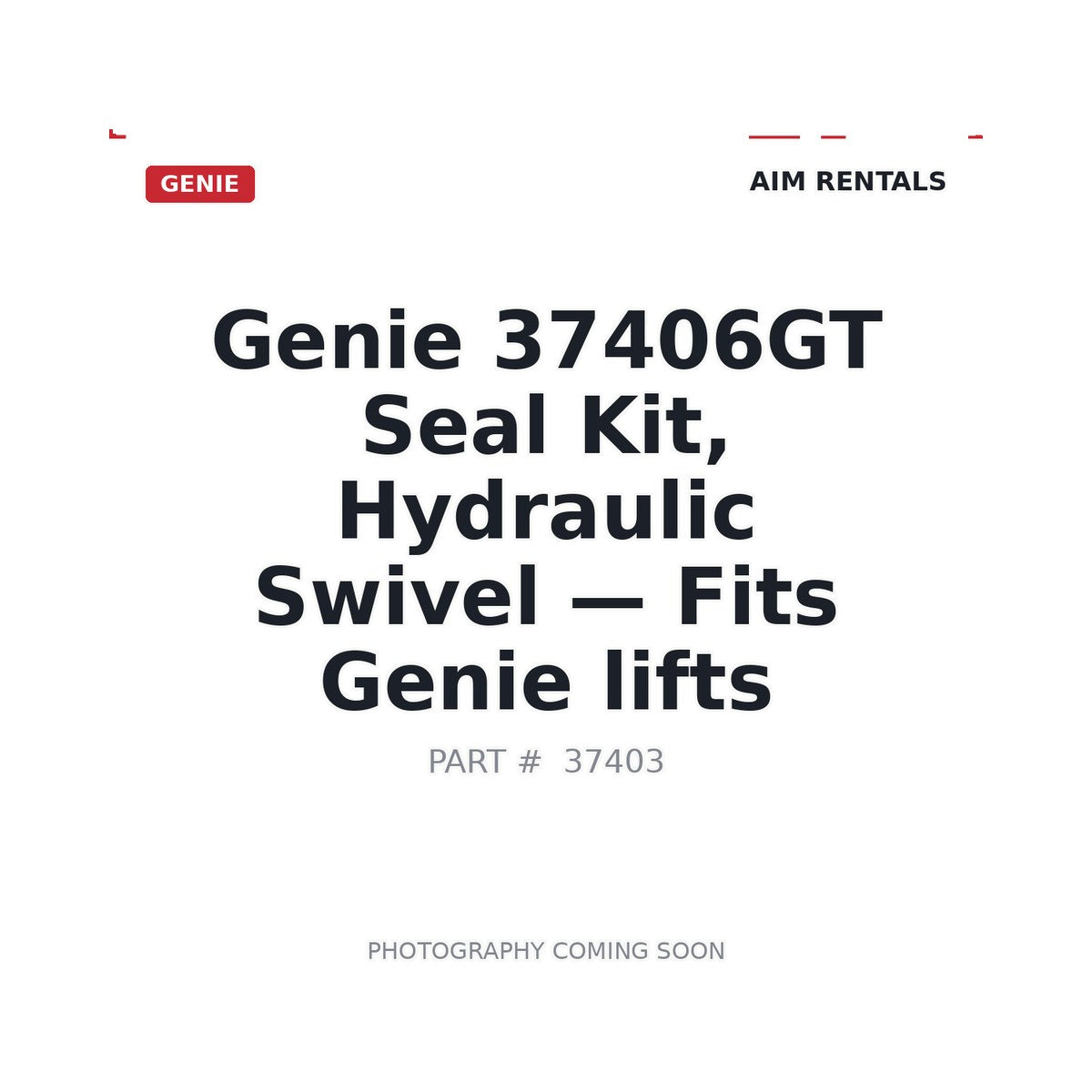 37406GT 37406GT Hydraulic Seals