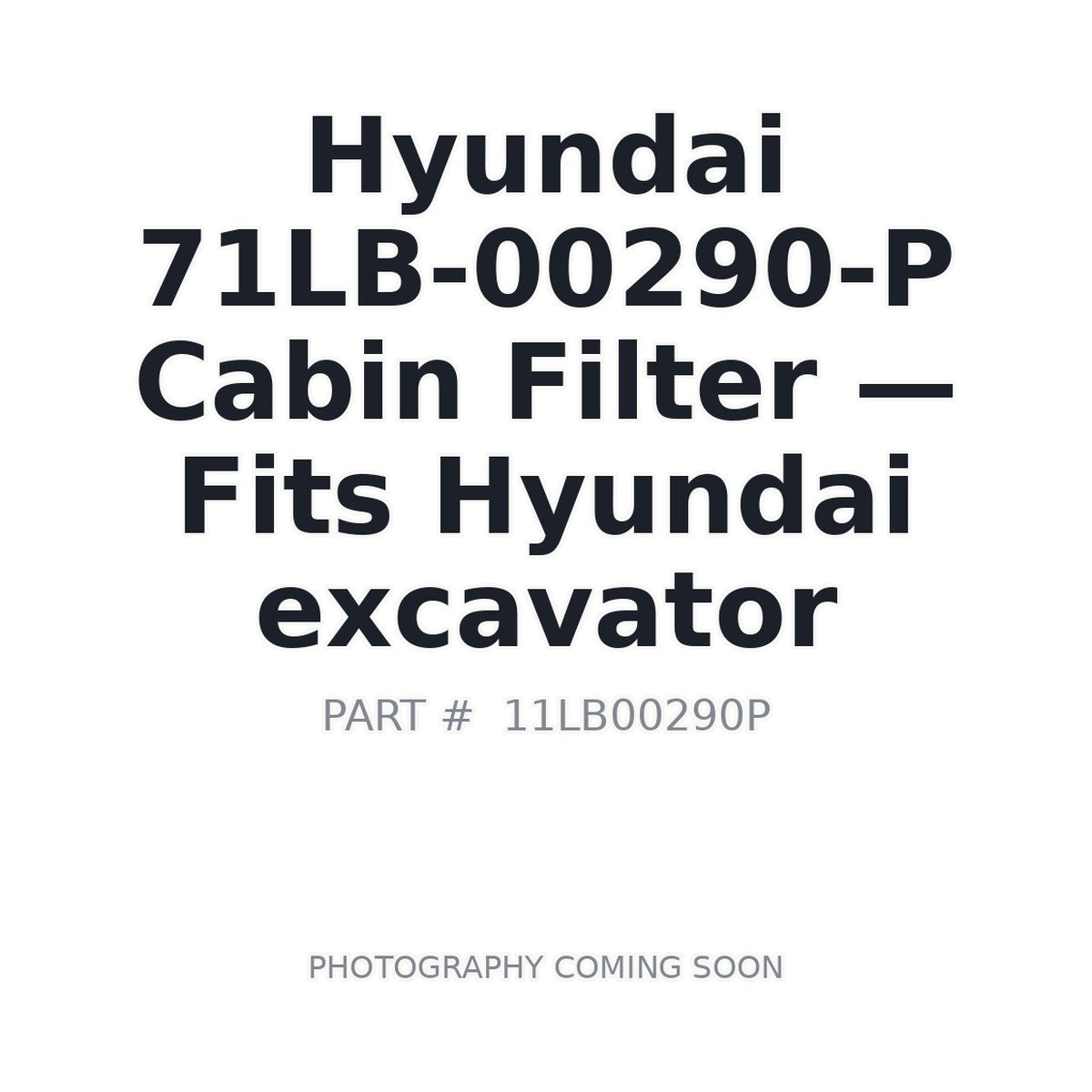 71LB-00290-P Hyundai Filters