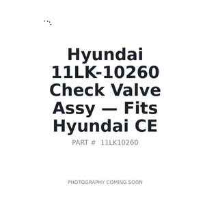 Hyundai 11LK-10260 Valves | Fits Hyundai construction equipment | Stocked in BC, Ships Canada-Wide