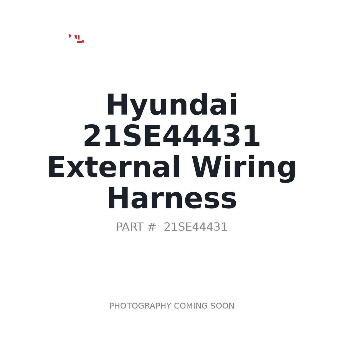 21SE44431 Hyundai External Wiring Harness
