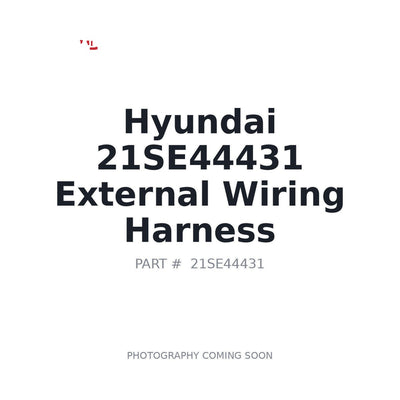 21SE44431 Hyundai External Wiring Harness