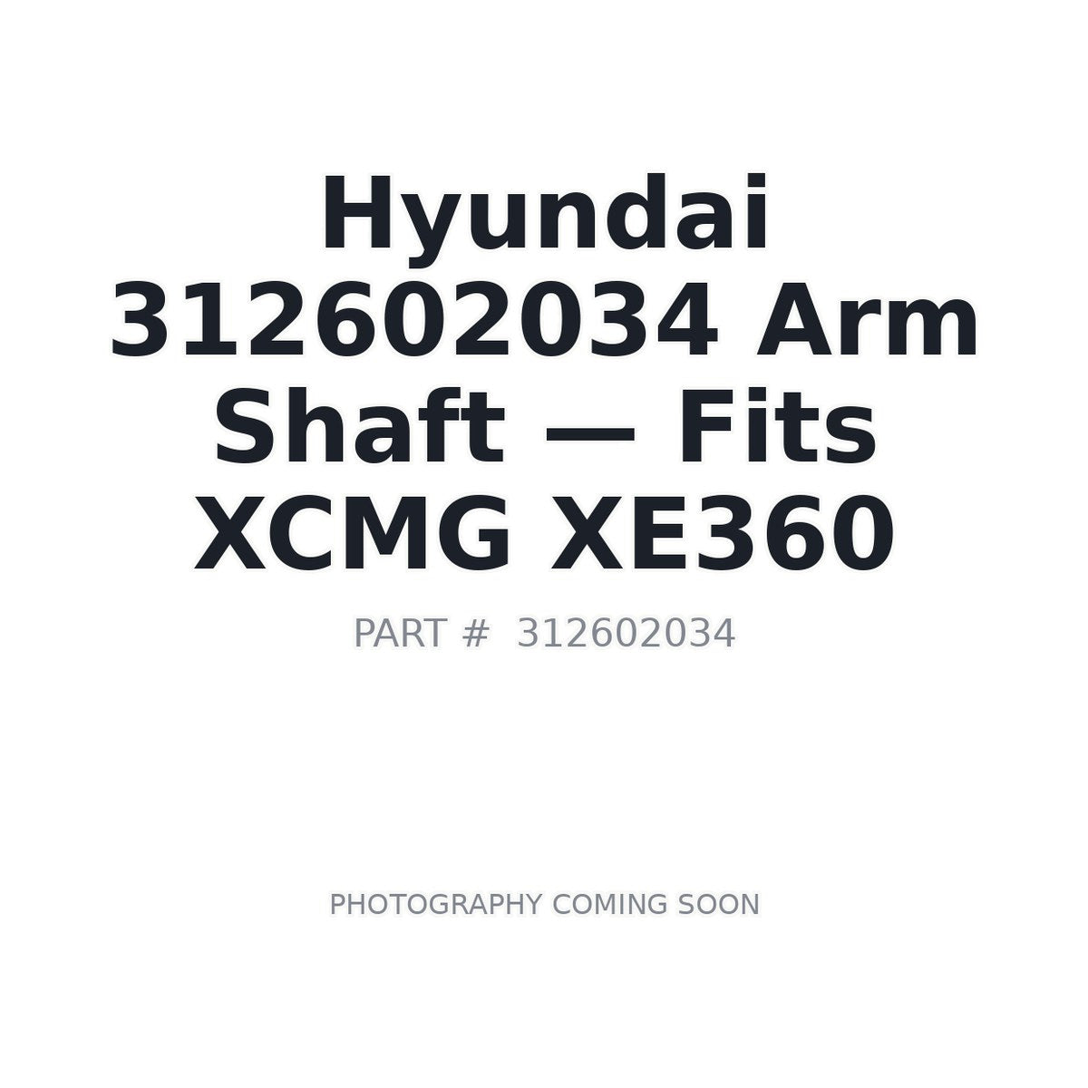312602034 Hyundai Arm Shaft - Fits XCMG XE360
