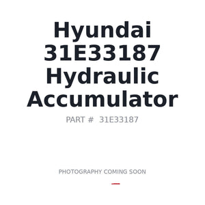 Hyundai 31E33187 Hydraulic Accumulator | Fits Hyundai equipment | Stocked in BC, Ships Canada-Wide