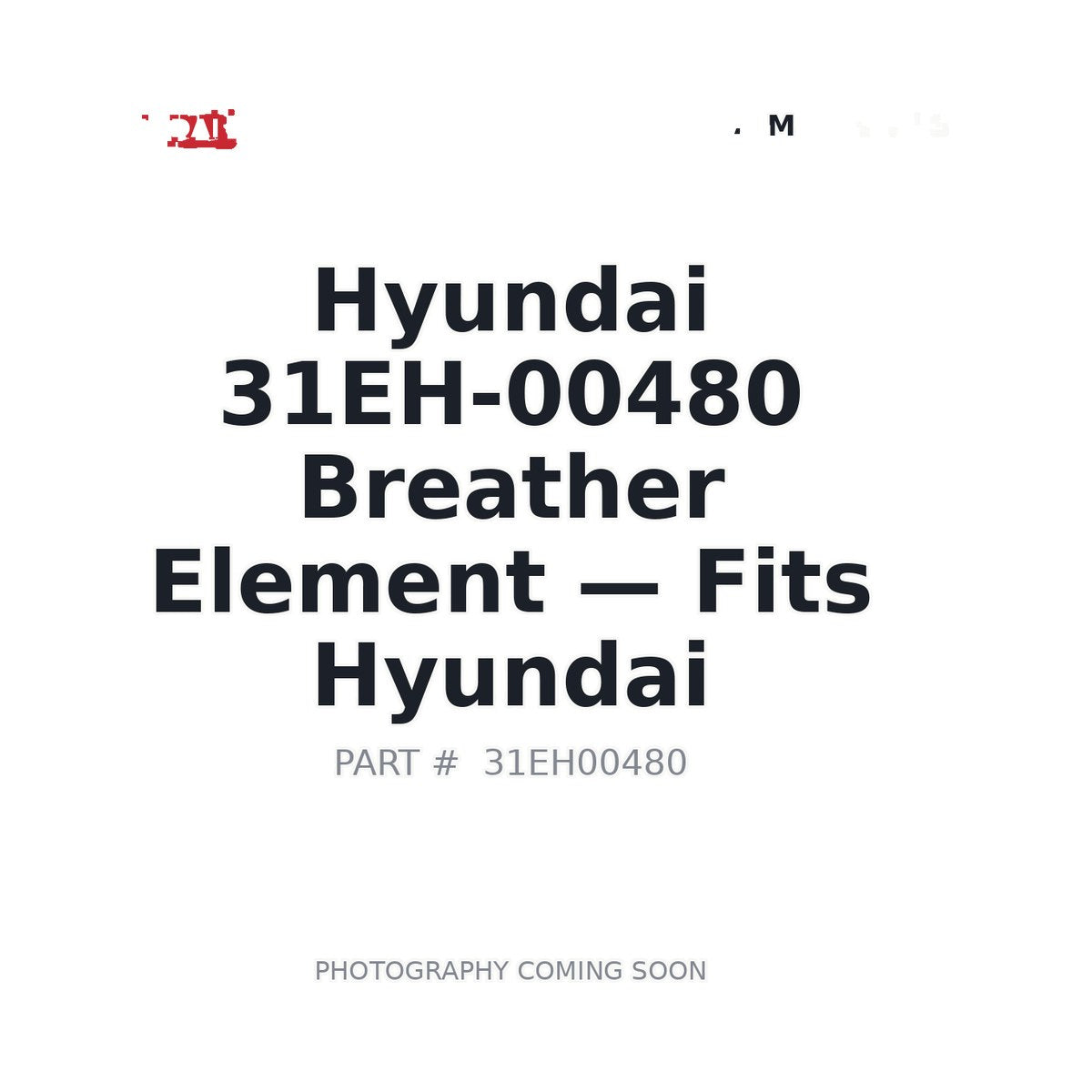 31EH-00480 Hyundai Filters