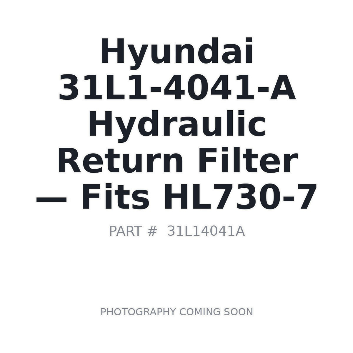31L1-4041-A Hyundai Hydraulic Return Filter . Fits HL730-7