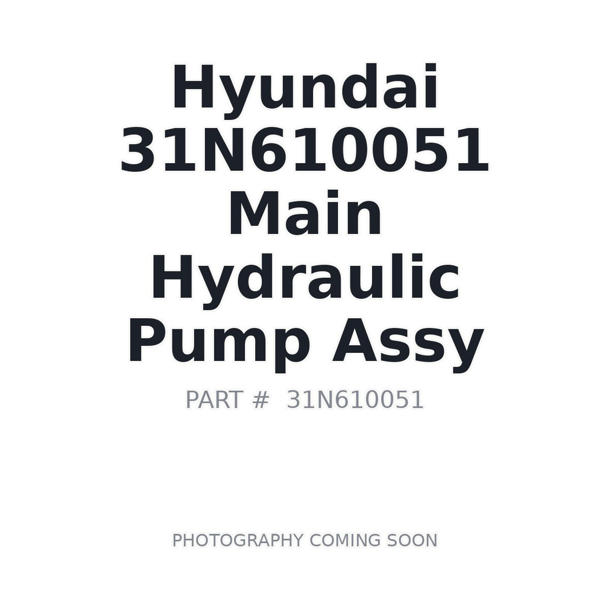 31N610051 Hyundai Main Hydraulic Pump Assy
