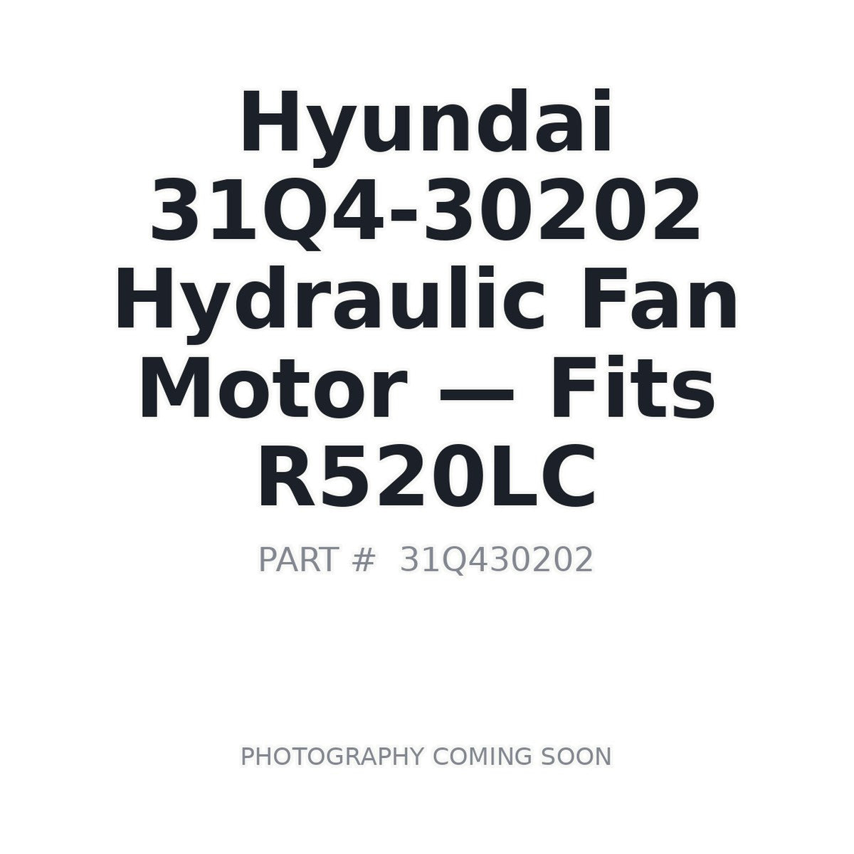 31Q4-30202 Hyundai Hydraulic Fan Motors