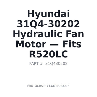 31Q4-30202 Hyundai Hydraulic Fan Motors