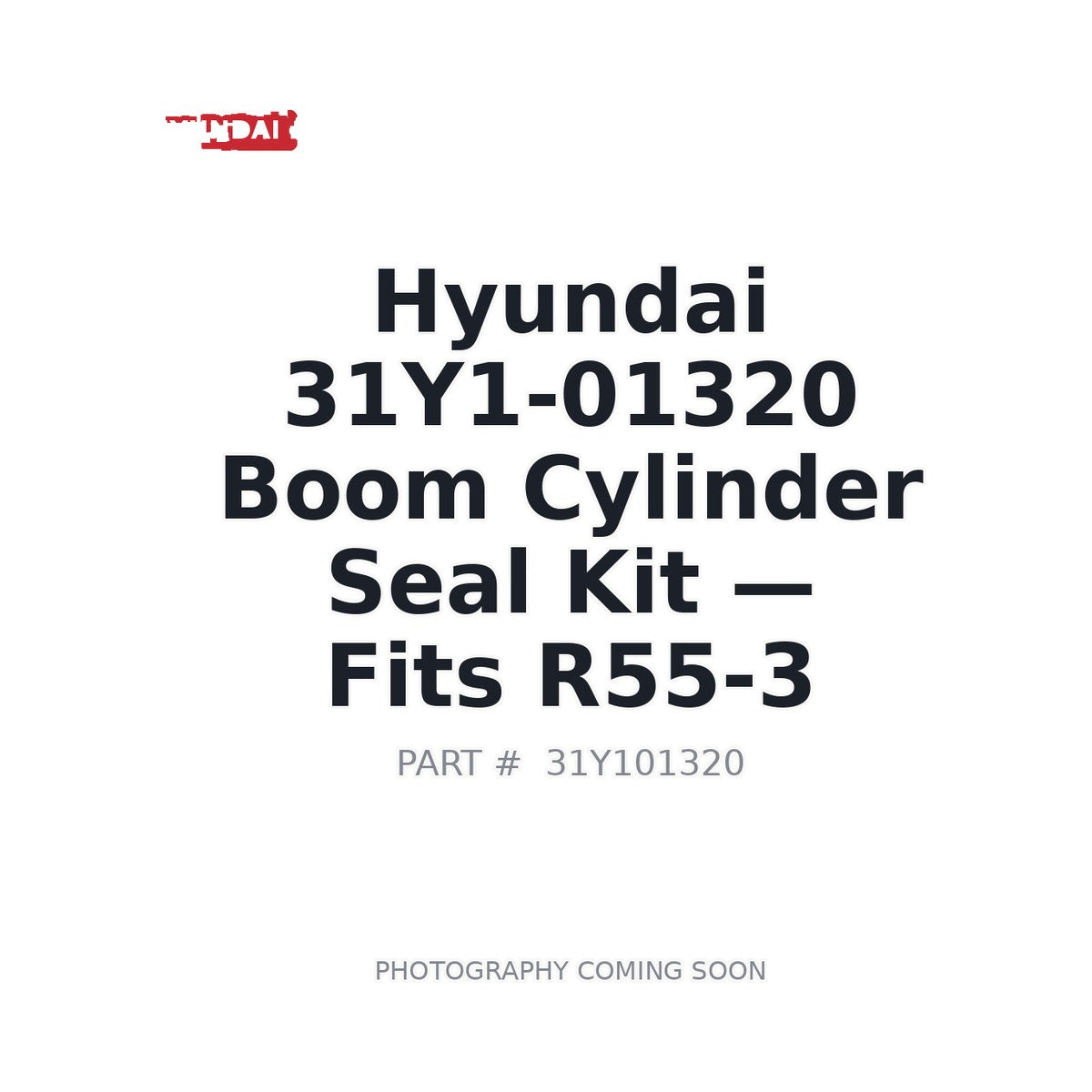 31Y1-01320 Hyundai Hydraulic Seals . Fits R55-3