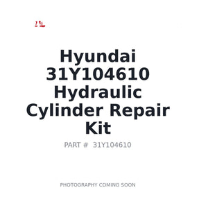 Hyundai 31Y104610 Hydraulic Cylinder Repair Kit | Fits Hyundai excavators | Stocked in BC, Ships Canada-Wide
