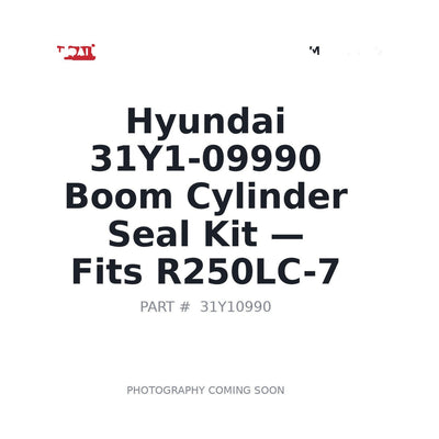 31Y1-09990 Hyundai Hydraulic Cylinder Seal Kits . Fits R250LC-7