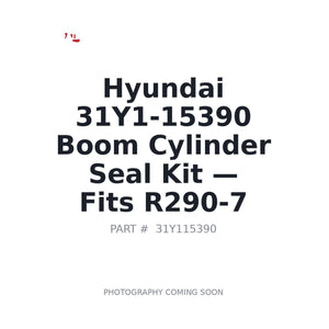Hyundai 31Y1-15390 Hydraulic Seals . Fits R290-7 | Fits Hyundai R290-7 | Stocked in BC, Ships Canada-Wide