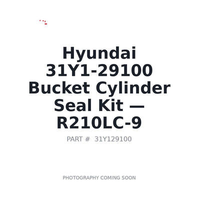 31Y1-29100 Hyundai Hydraulic Seals