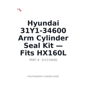 Hyundai 31Y1-34600 Hydraulic Seals | Fits Hyundai HX160L | Stocked in BC, Ships Canada-Wide