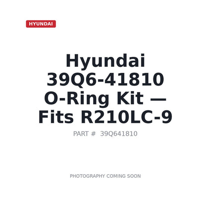39Q6-41810 Hyundai Hydraulic Seals . Fits R210LC-9