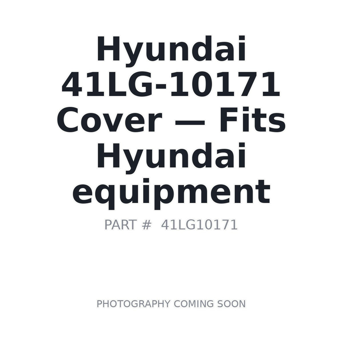 41LG-10171 Hyundai Covers