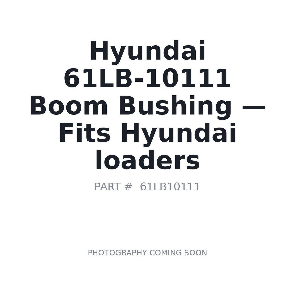 61LB-10111 Hyundai Bushings