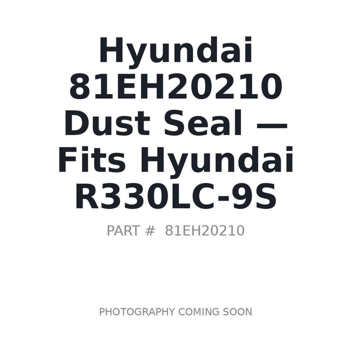 81EH20210 Hyundai Dust Seal . Fits R330LC-9S - Fits Hyundai R330LC-9S