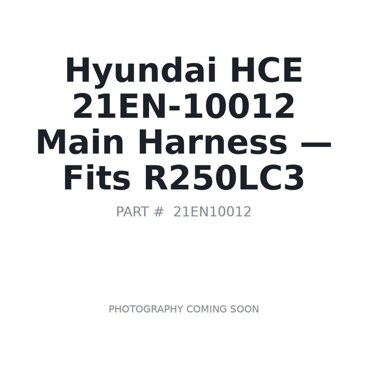 21EN-10012 Hyundai 21EN-10012 Electrical Harnesses