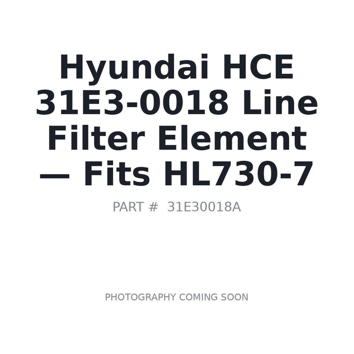 31E3-0018 Hyundai Hydraulic Line Filter