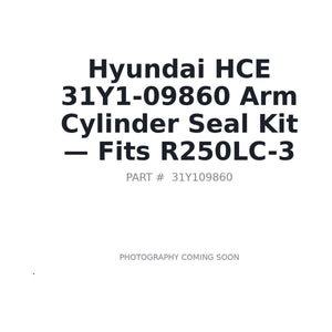 Hyundai HCE 31Y1-09860 Hydraulic Seals . Fits R250LC-3 | Fits Hyundai R250LC-3 | Stocked in BC, Ships Canada-Wide