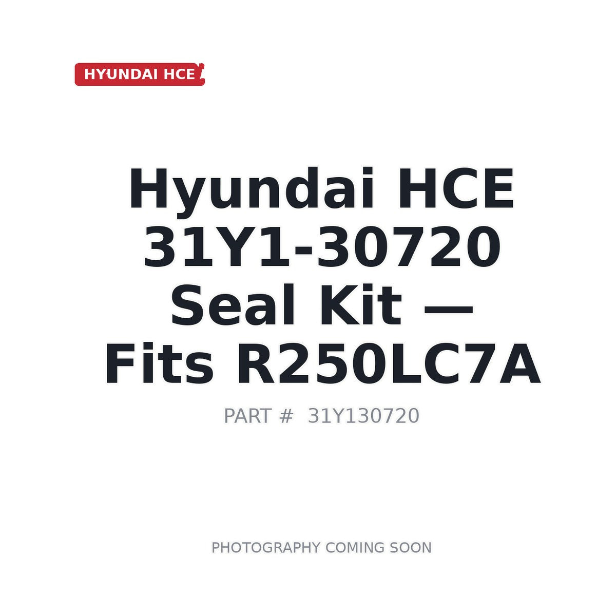 31Y1-30720 Hyundai 31Y1-30720 Hydraulic Seals