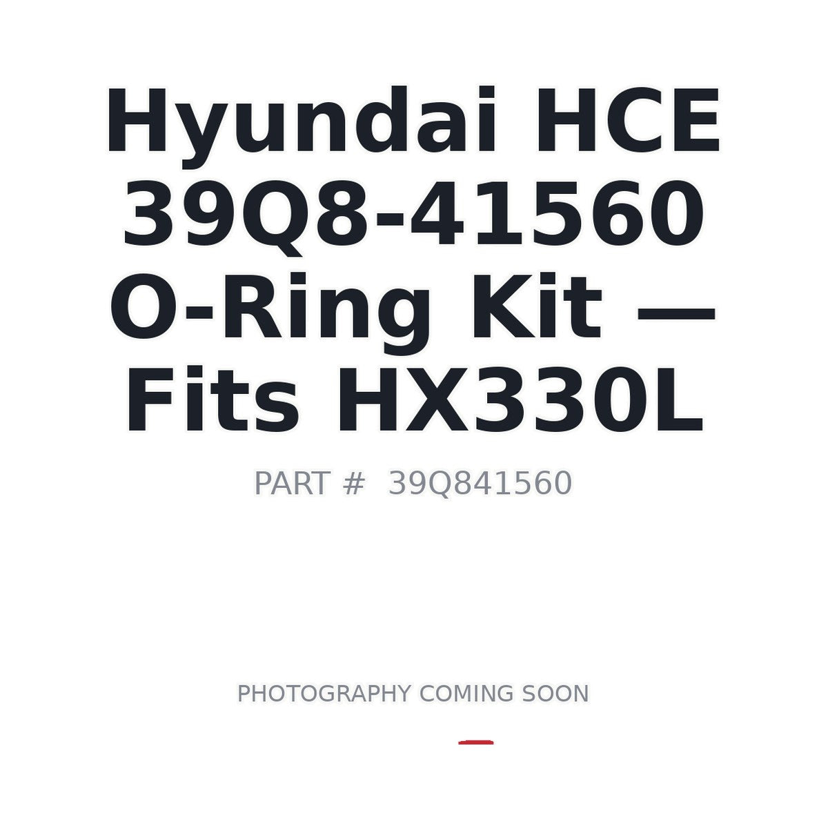 39Q8-41560 Hyundai 39Q8-41560 Hydraulic Seals