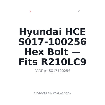 S017-100256 Hyundai S017-100256 Fasteners