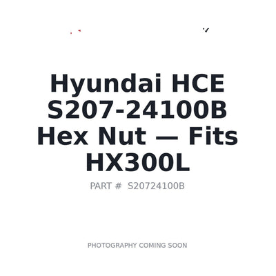 S207-24100B Hyundai S207-24100B Fasteners