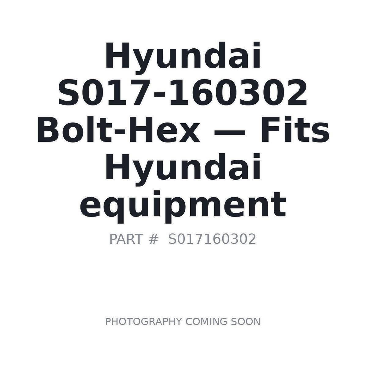 S017-160302 Hyundai Bolts