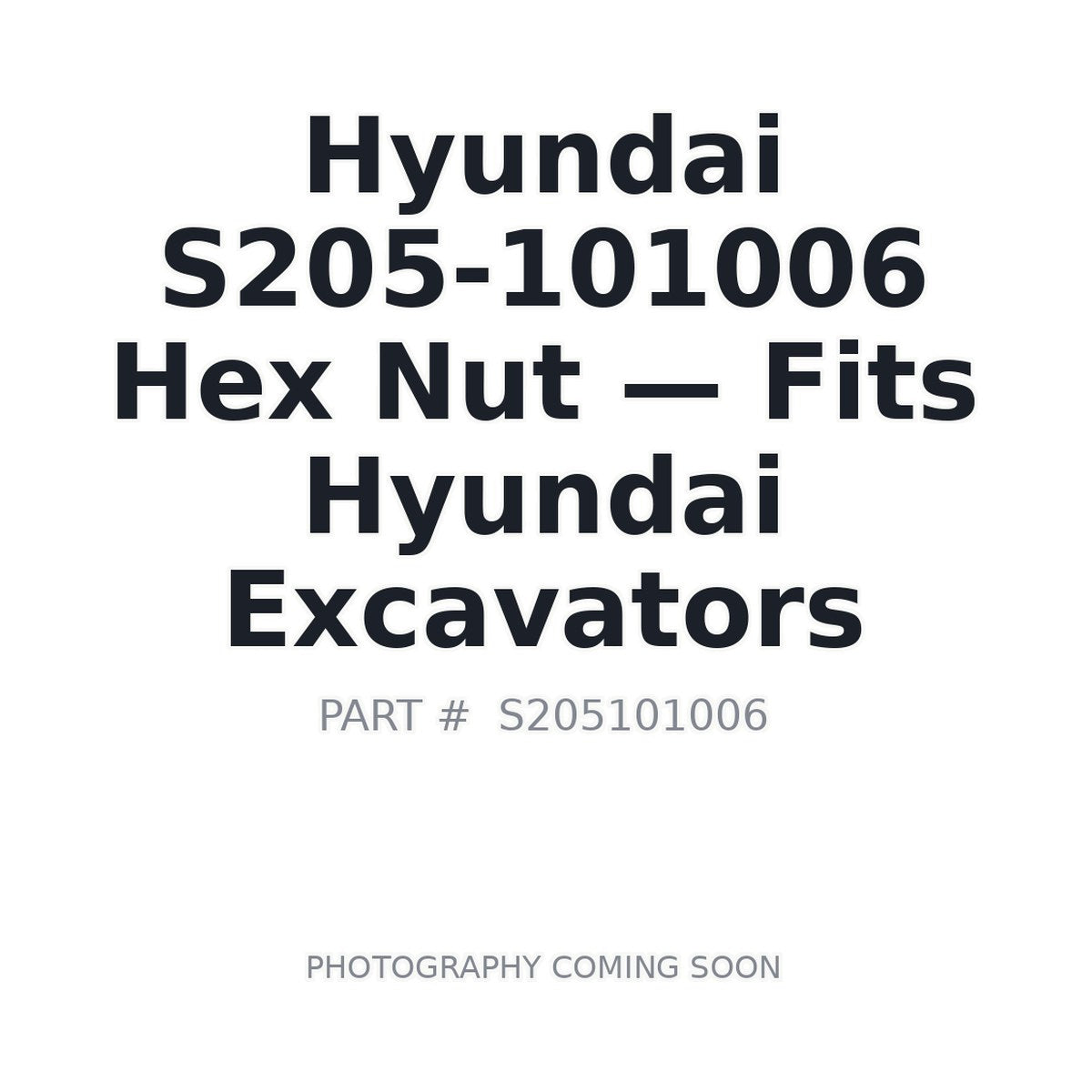 S205-101006 Hyundai Hardware Nuts