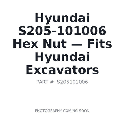 S205-101006 Hyundai Hardware Nuts