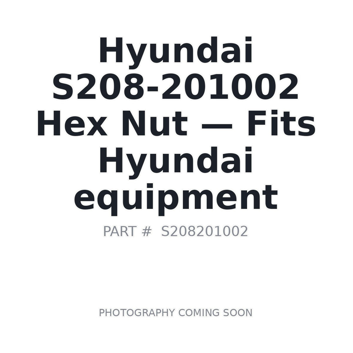 S208-201002 Hyundai Fasteners