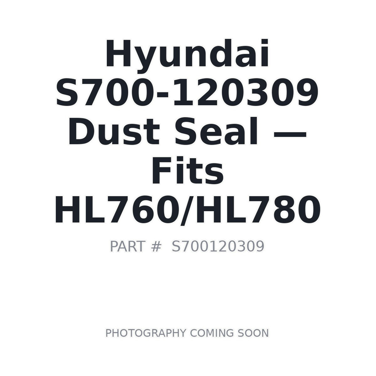 S700-120309 Hyundai Hydraulic Seals