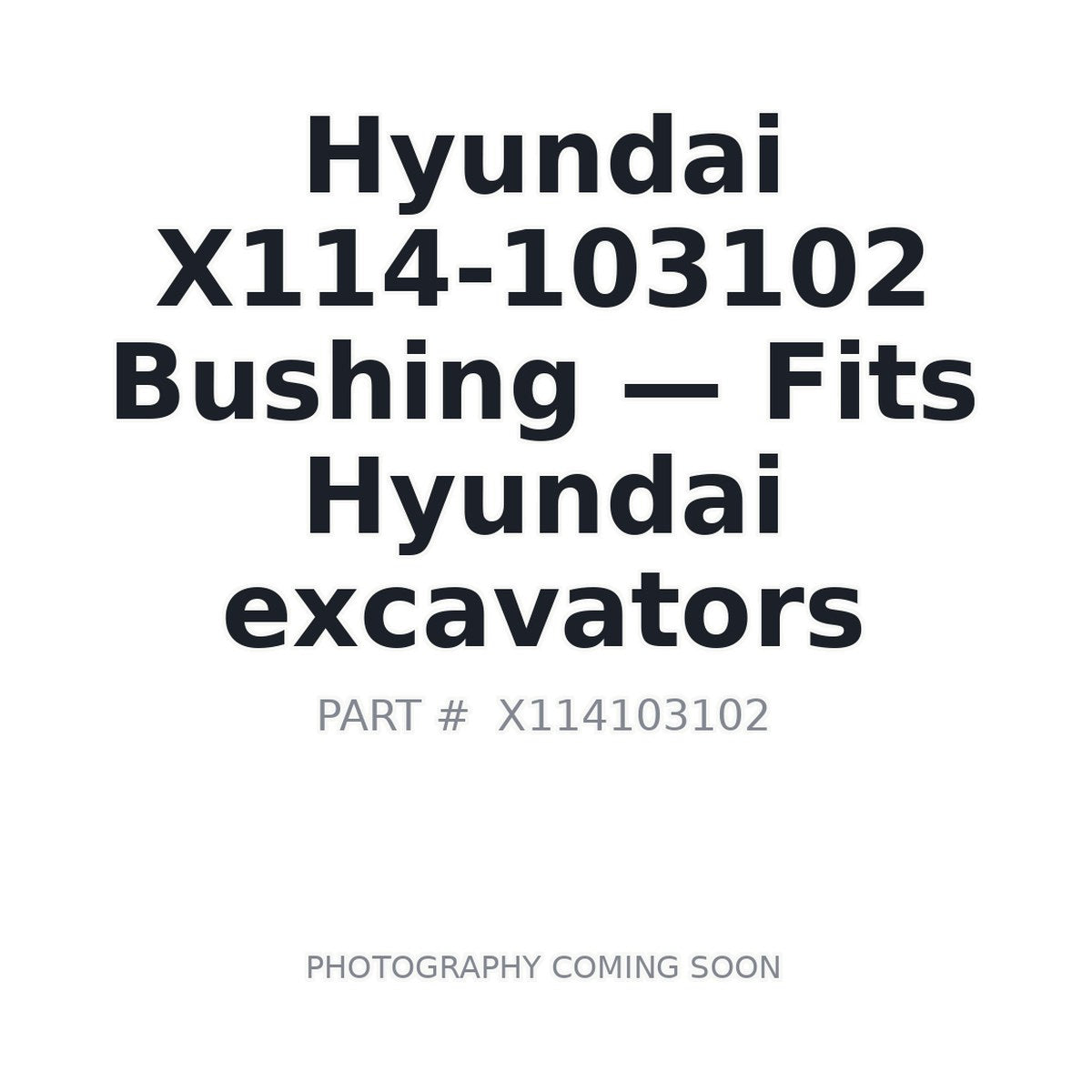X114-103102 Hyundai Bushings