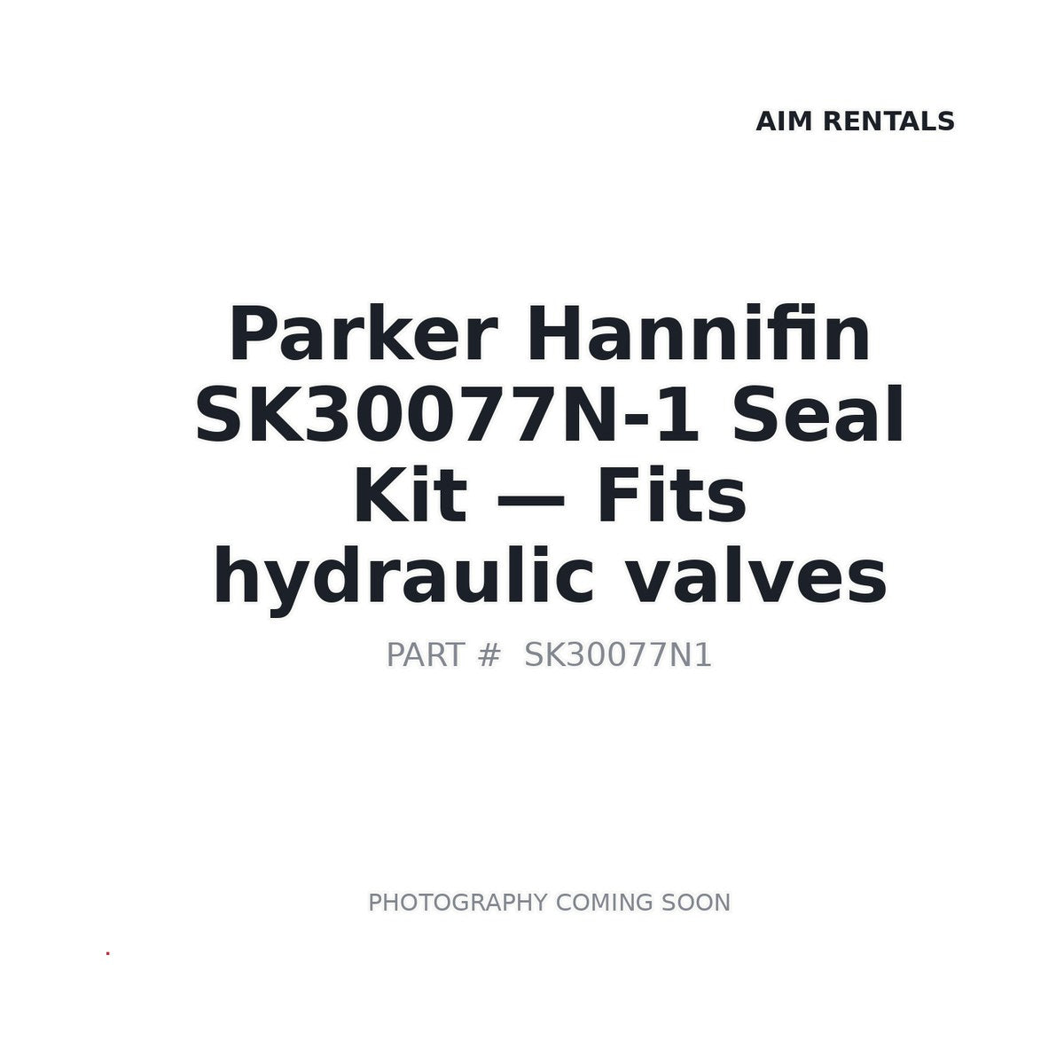 SK30077N-1 SK30077N1 Hydraulic Seals
